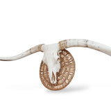 Crânio Real de Touro - Chifre LongHorn